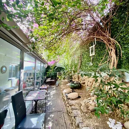 Azur Free Parking Free Wifi Apartment *